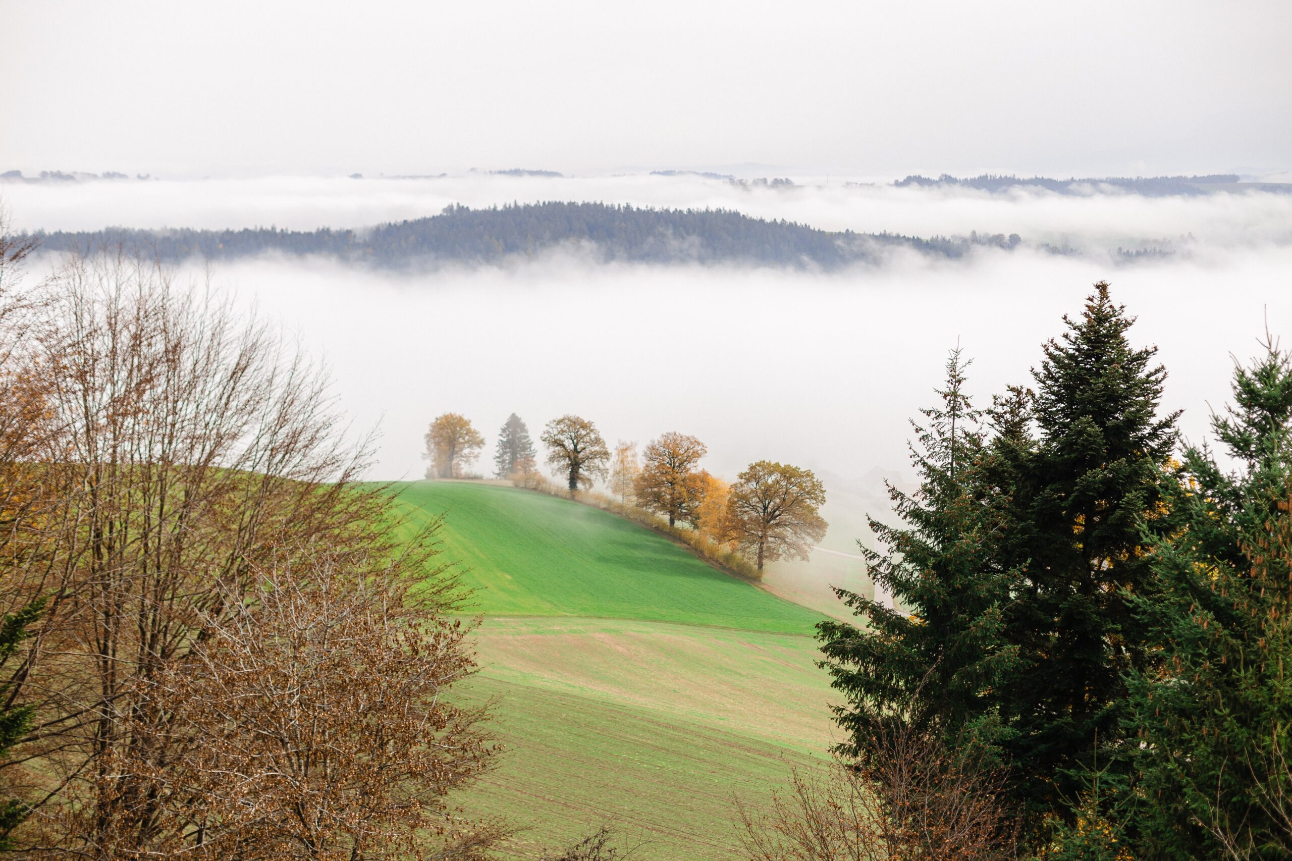 Autumn low clouds in Switzerland